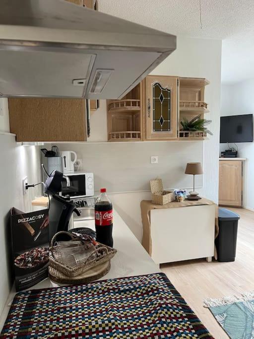 Appartement Balinais Lumineux Et Calme Avignon Exteriér fotografie