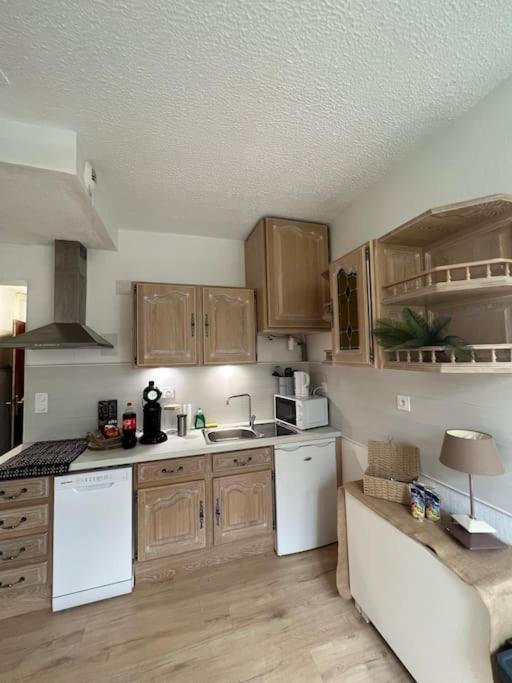 Appartement Balinais Lumineux Et Calme Avignon Exteriér fotografie