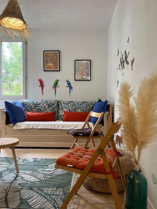 Appartement Balinais Lumineux Et Calme Avignon Exteriér fotografie